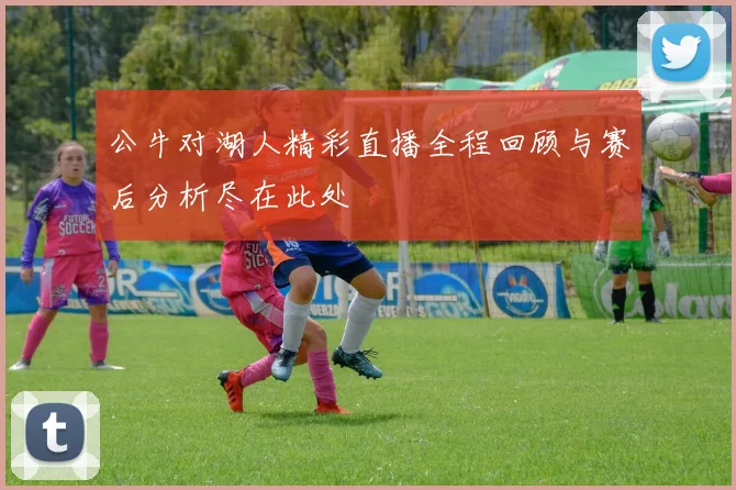 公牛对湖人精彩直播全程回顾与赛后分析尽在此处