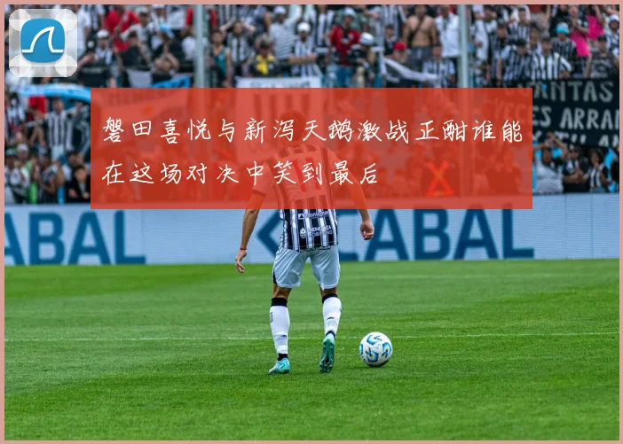 磐田喜悦与新泻天鹅激战正酣谁能在这场对决中笑到最后