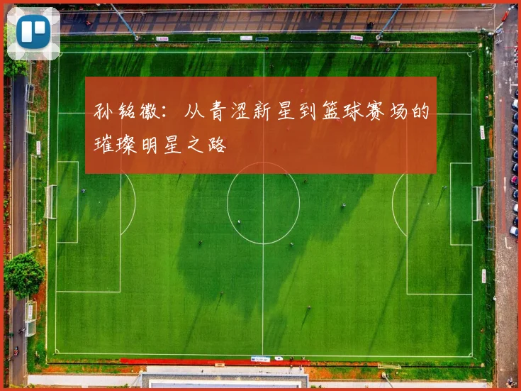 孙铭徽：从青涩新星到篮球赛场的璀璨明星之路